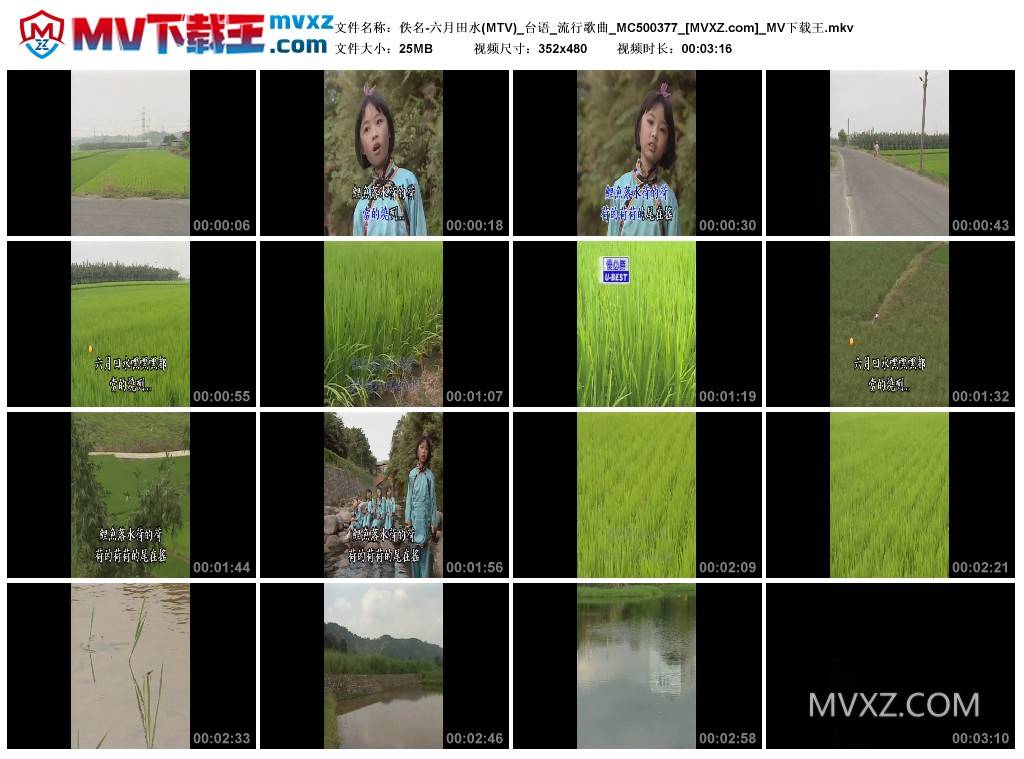 佚名-六月田水(MTV)_台语_流行歌曲_MC500377